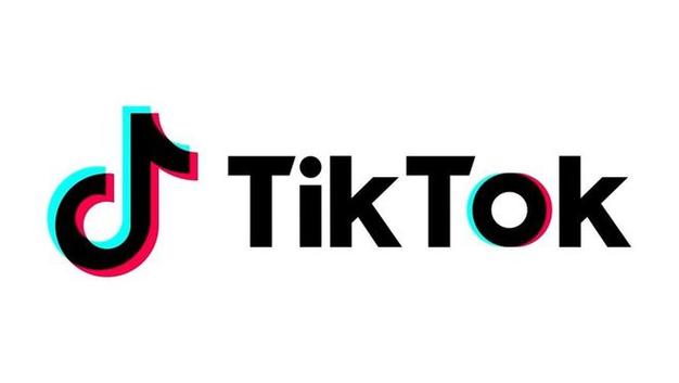 Tiktok Pet Daily Videos Go Viral And Record The Lives Of Cute Pets 