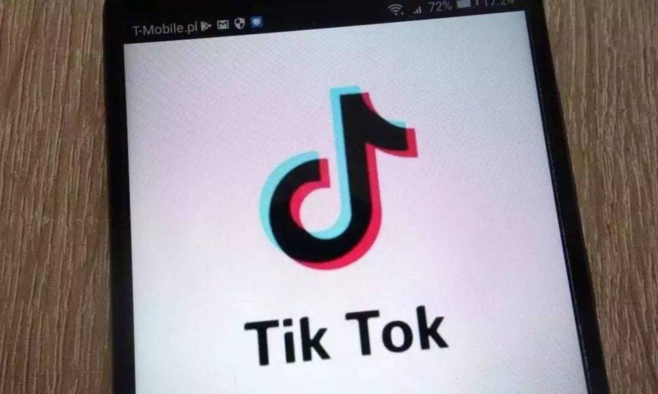 Tiktok Users Initiate Green Technology Life And Environmental Innovation 