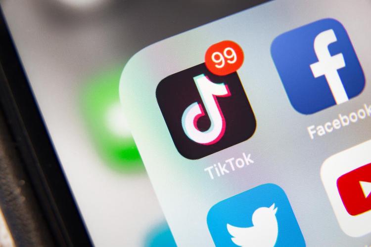 Tiktok Has Become The First Source Of Plant Care Knowledge 