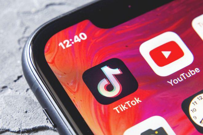 Tiktok Pet Daily Videos Go Viral And Record The Lives Of Cute Pets 
