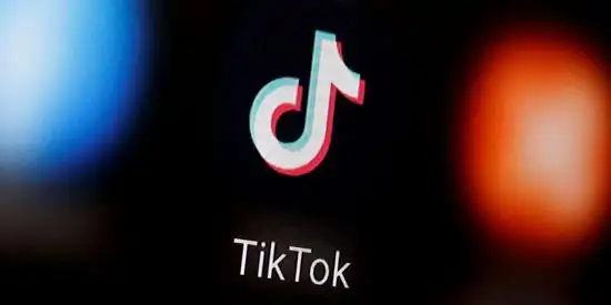 Tiktok Has Become The First Source Of Plant Care Knowledge 