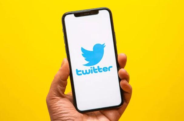 Twitter Tested A Cayman Islands Service Similar To Housesitterscaymanislands 