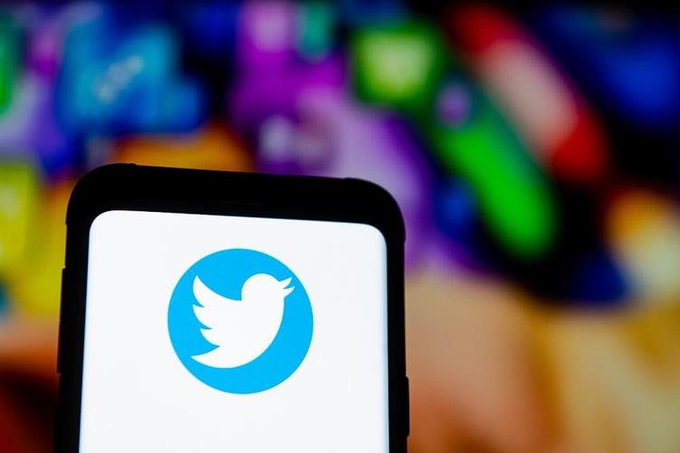 Twitter Tests Pet Boarding Similar To Pethomestay 