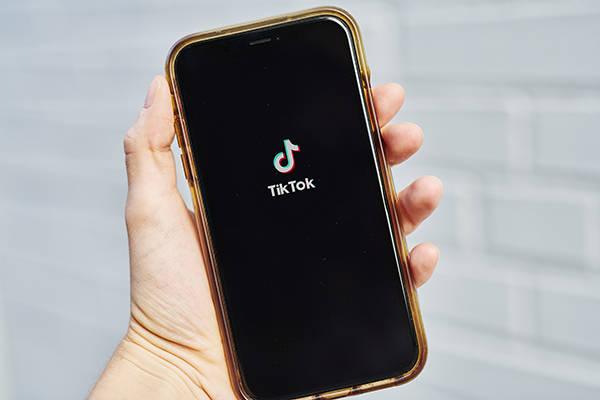 TikTok’s Role in Literature Education 