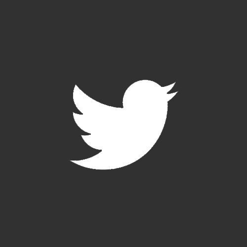 How Twitter Is Used for Paleontology Discoveries 
